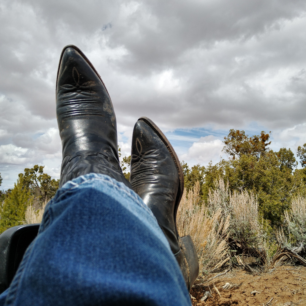 Meet your Posher, Hilton